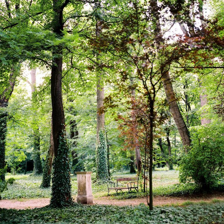 Kyriad Altmannsdorf Wiedeń